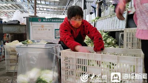 聊城 断不了菜！记者实地探访周公河农贸城，日供蔬菜2000吨，新鲜蔬菜零售无忧
