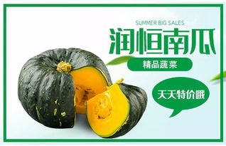 哈尔滨润恒城精品菜 新鲜直供，最低0.4元/斤，尽享舌尖上的美味