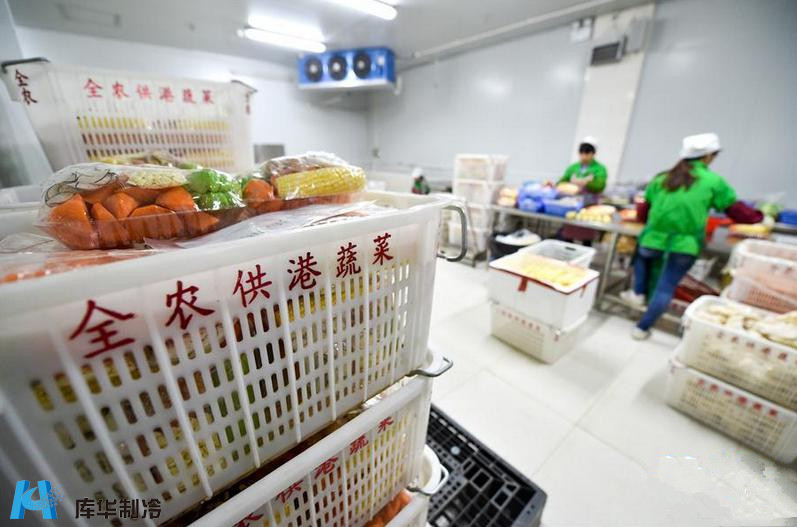 冷链先行，鲜达香江 解码供港蔬菜85%份额背后的冷库工程精髓
